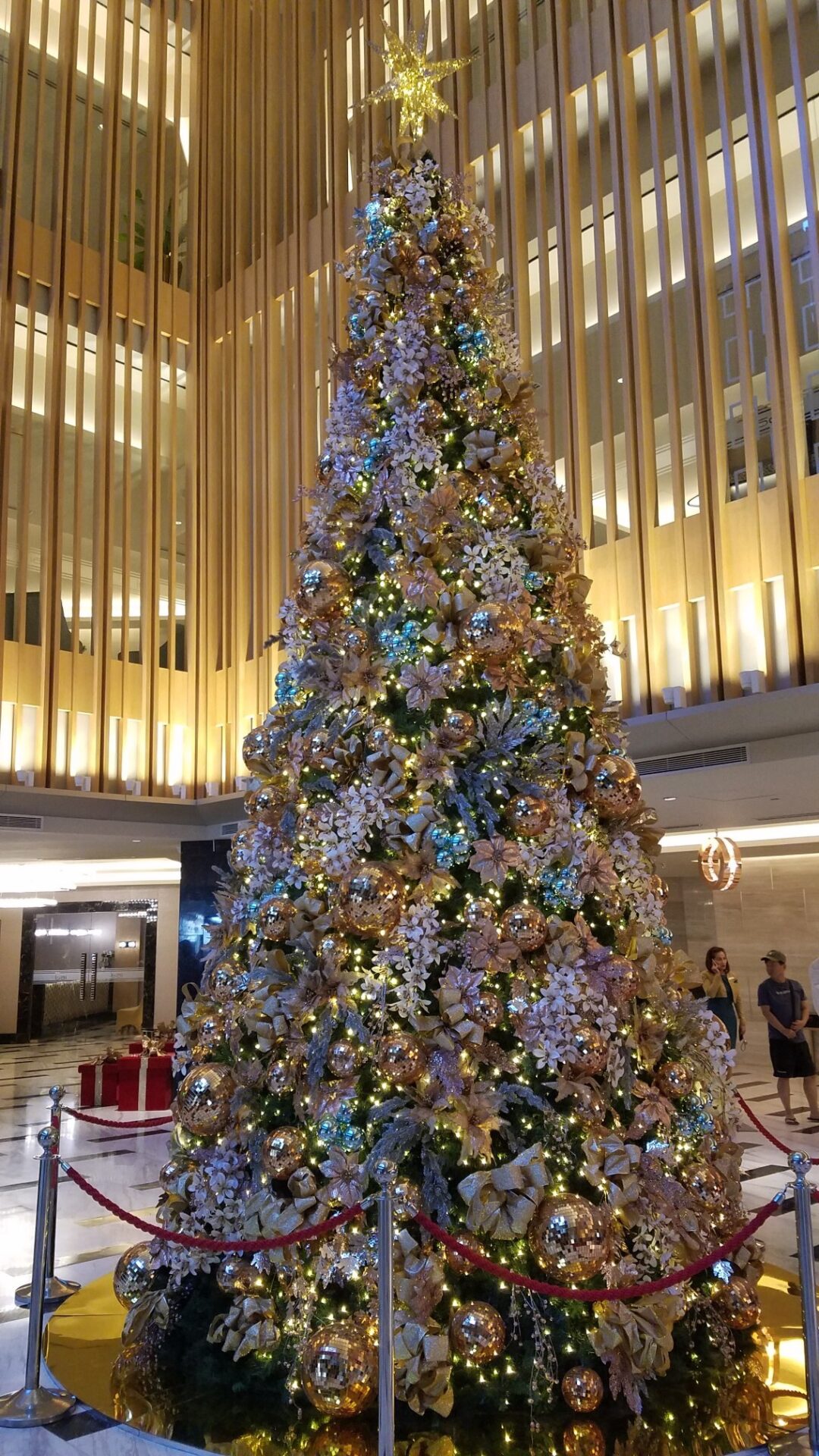 クリスマスムードでいっぱい🎄