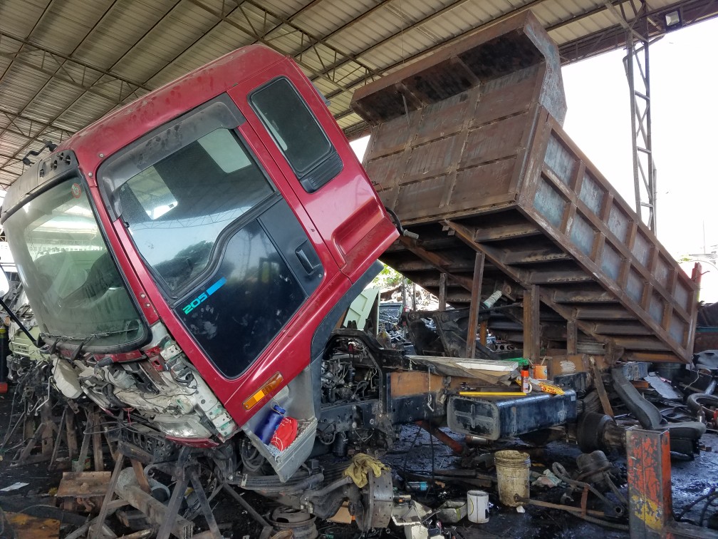 クリスマスムードでいっぱい🎄