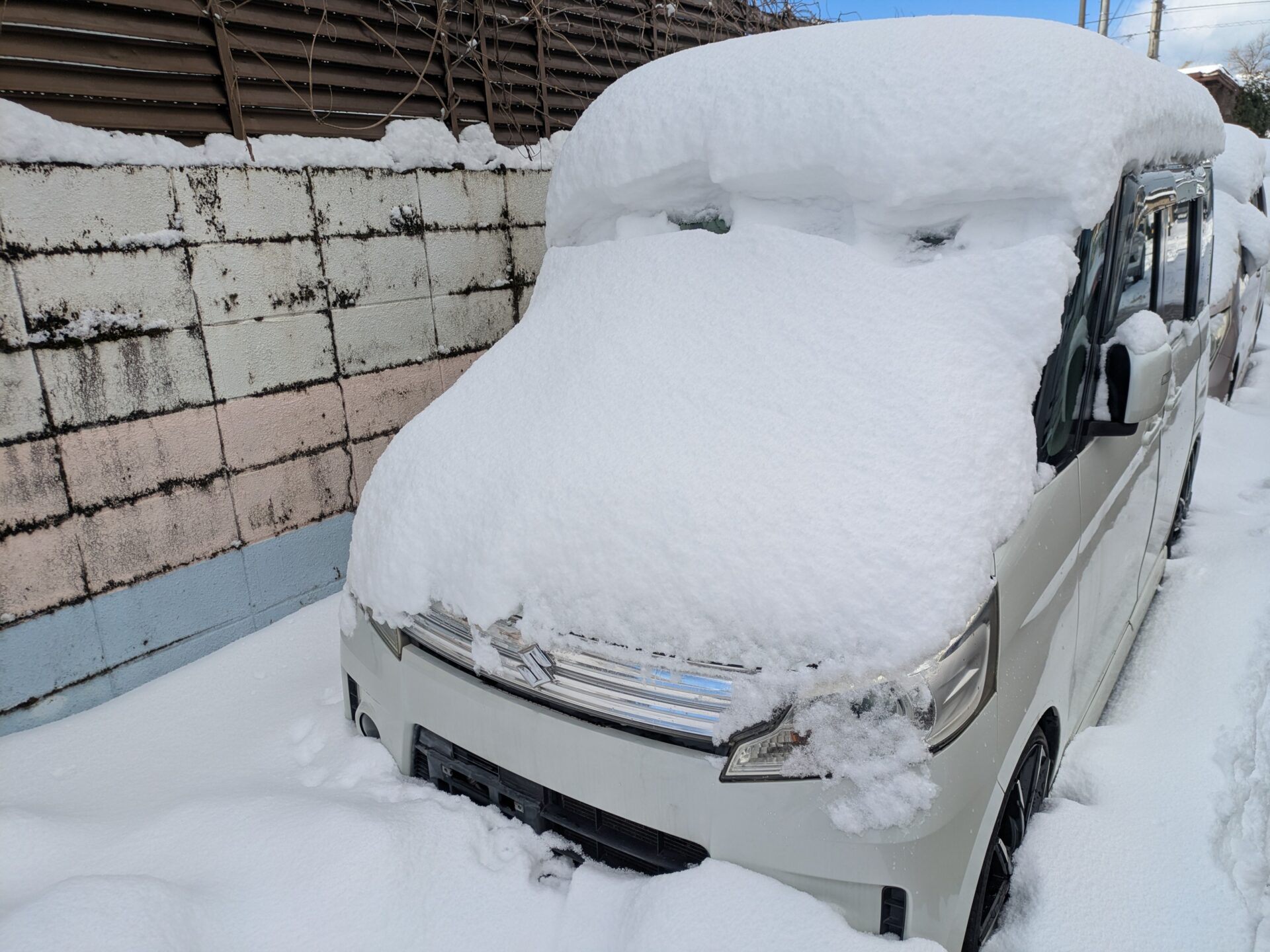 記録的な大雪⛄