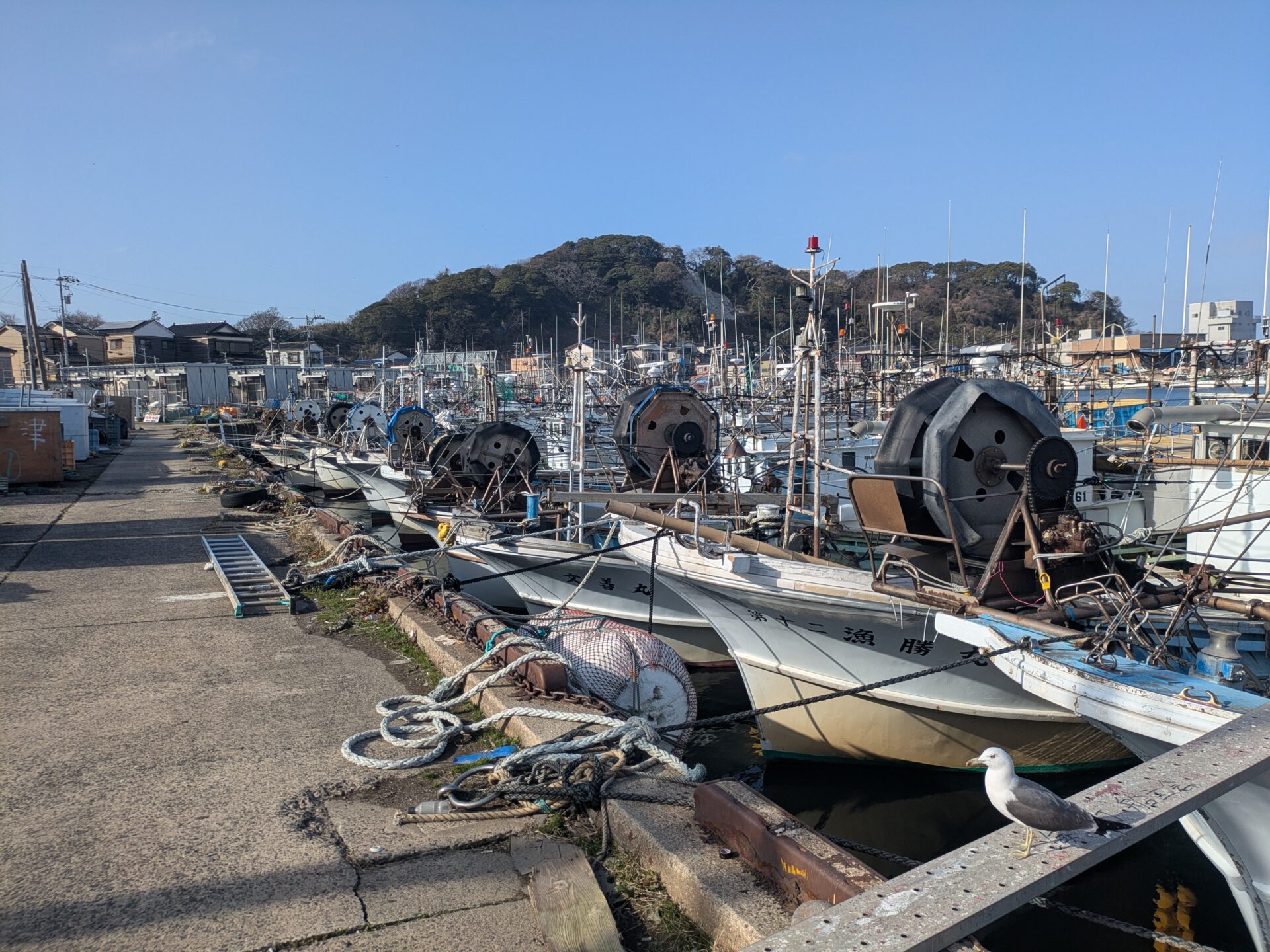 一日も早い復興を・・・