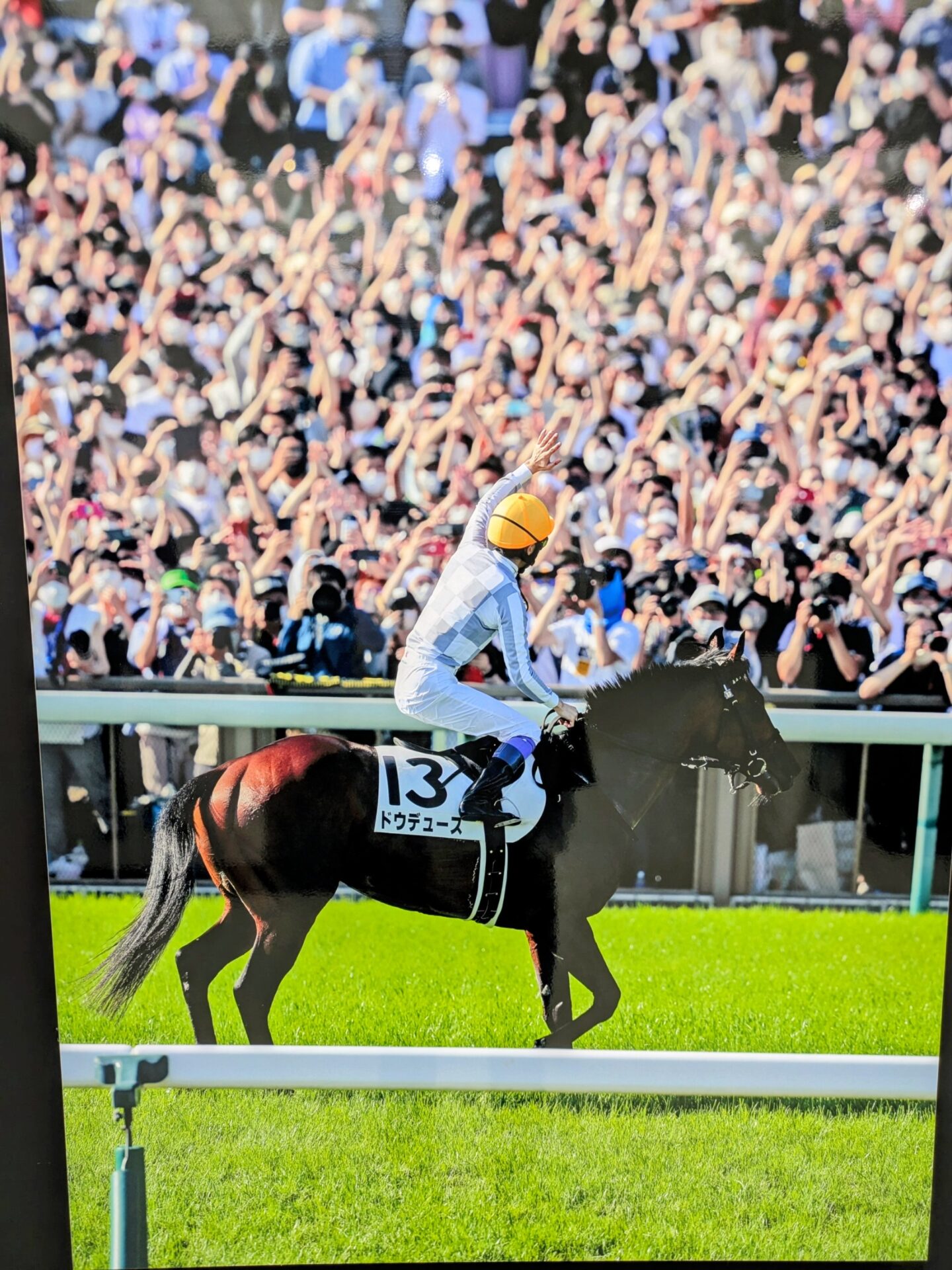 競馬ファンにはたまりません😊