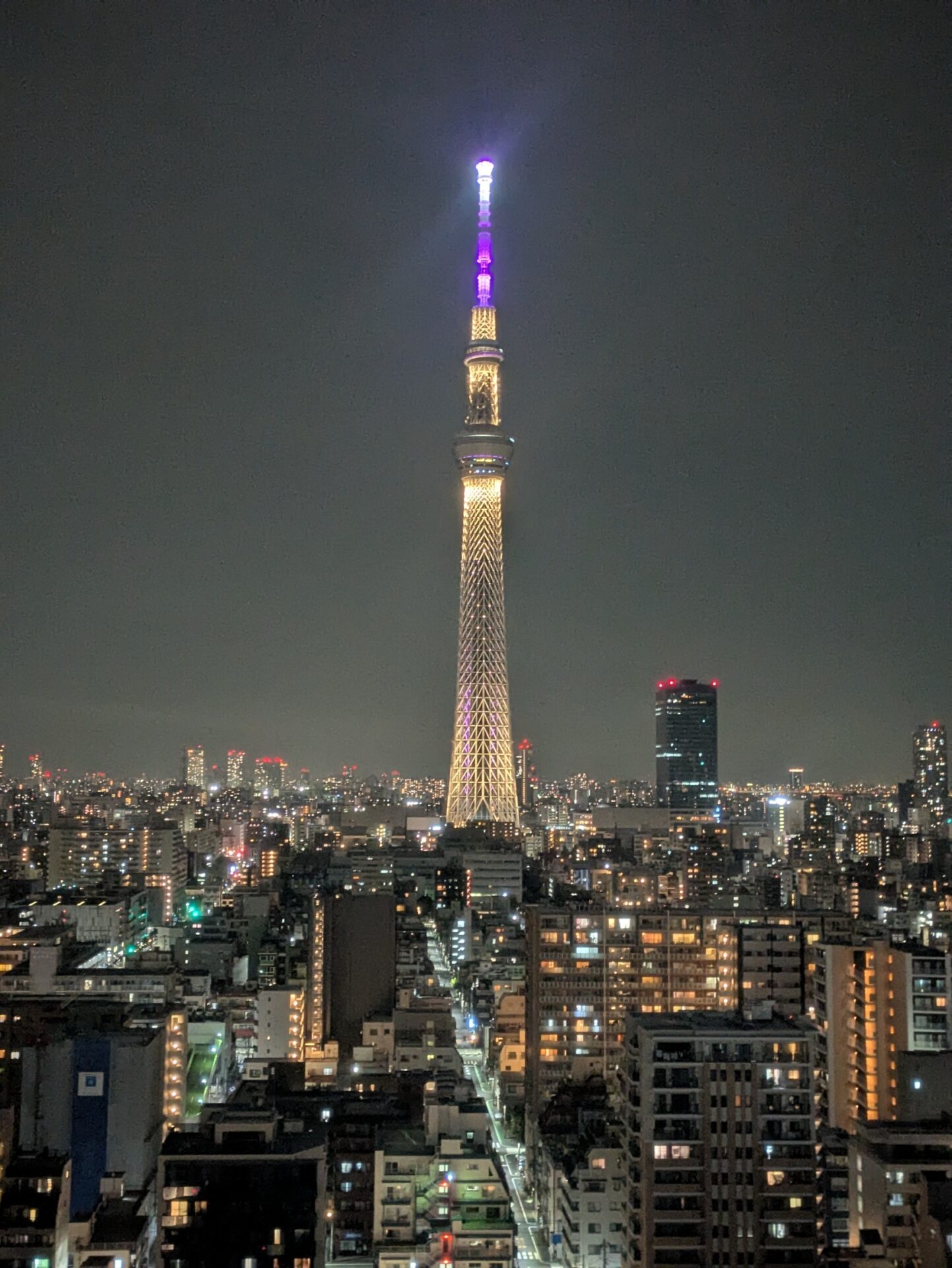 東京へ出張に行きました🚅